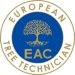 European tree technician e1650539781769